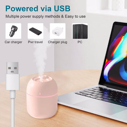 Portable Mini Humidifier